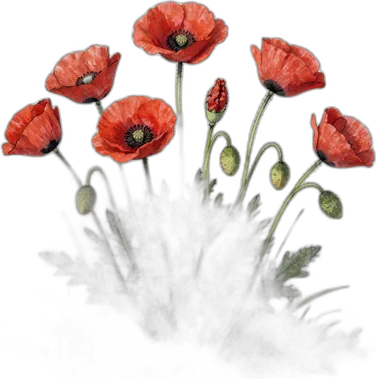 Amapolas en acuarela